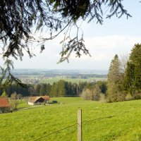 Omgeving